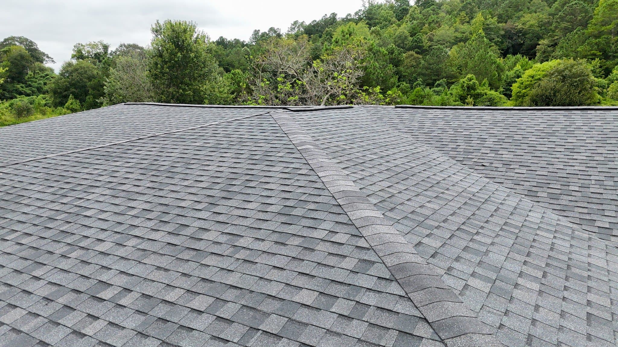 Shingle close-up